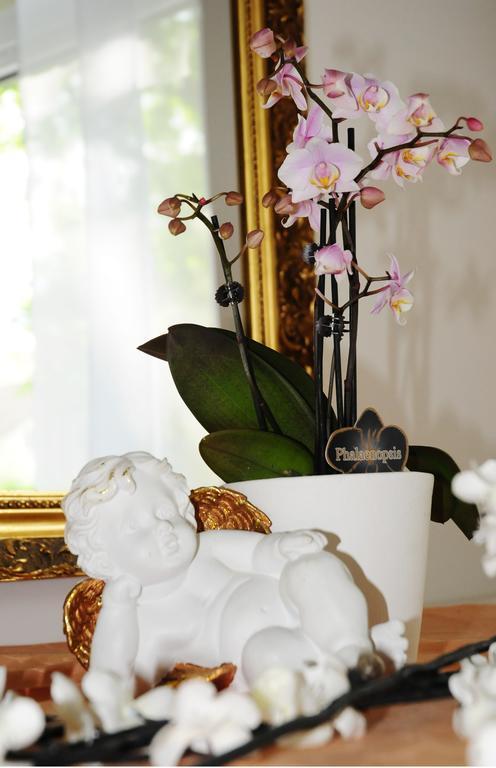 Hotel Blankenese Αμβούργο Εξωτερικό φωτογραφία